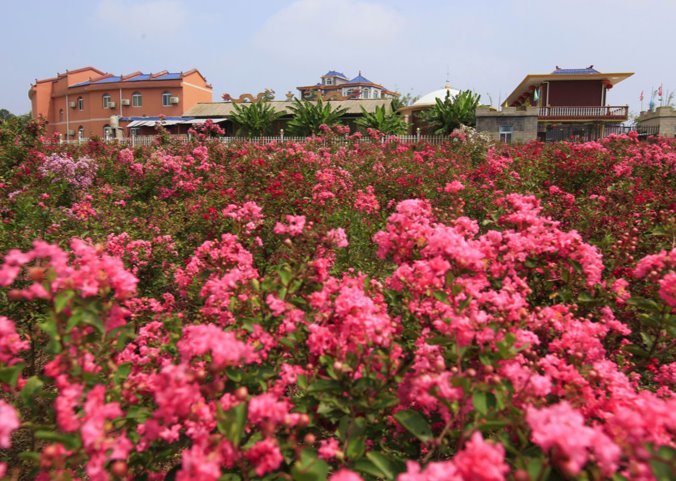 繁花似锦